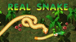 Serpent Path Logic Challenge