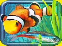 Fish Farm Aquarium Simulator